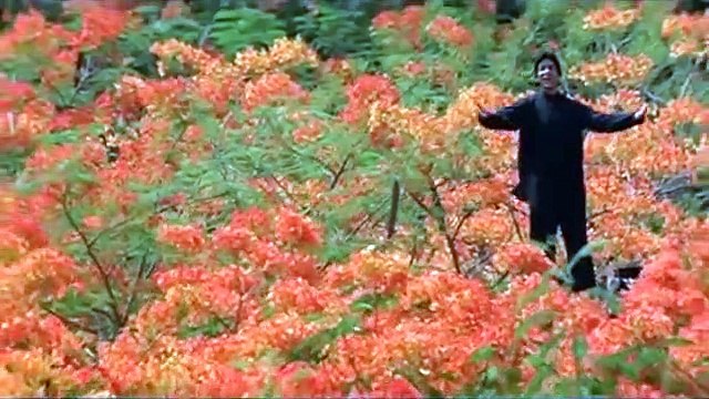 Dil Mere Tu Deewana Hai Kumar Sanu Hit Songs Amitabh Bachchan Songs