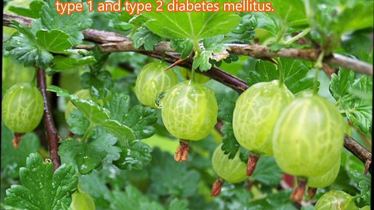 5 Best Home Remedies for Diabetes