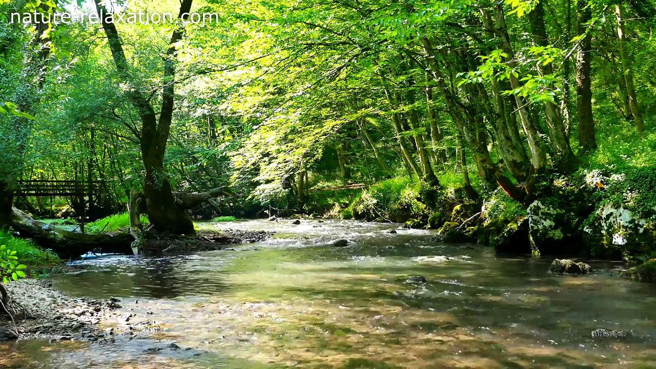 Relaxing River Sounds 4K - Gentle River, Nature Sounds, Singing Birds Ambience