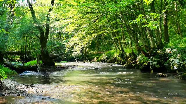Relaxing River Sounds 4K - Gentle River, Nature Sounds, Singing Birds Ambience