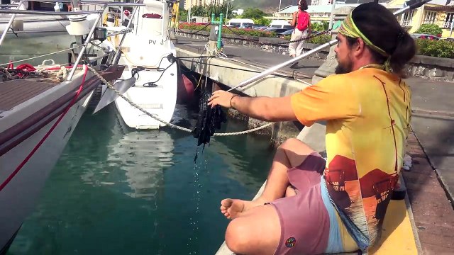 Carmen aka Stripagedon strikes again in Mauritius! Sailing Vessel Delos Ep. 113