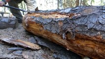 Milling logs with the Granberg Alaskan chainsaw mill - Tips and observations