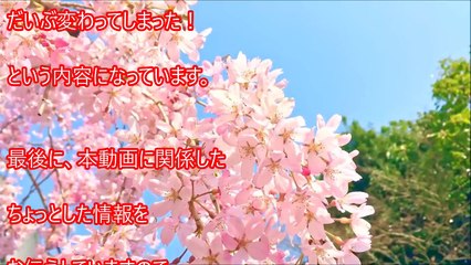 小保方晴子の現在と「STAP細胞あります時代」の姿が違いすぎてビックリ！整形?ってくらいヤバイ！