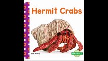 Hermit Crabs (Family Pets)
