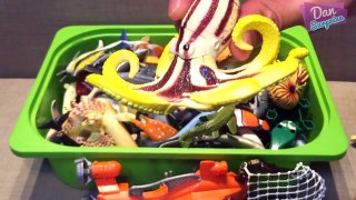 MY SHARK TOYS COLLECTION - What sea animals are in this box? Sharks Whales Dolphins Turtles