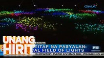 Paskotitap na Pasyalan: Magical Field of Light sa Sta. Rosa, Laguna