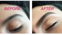 How to Grow Thicker Eyebrows