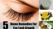 Longer Lashes in 3 days - 5 Home Remedies For Eye Lash Growth