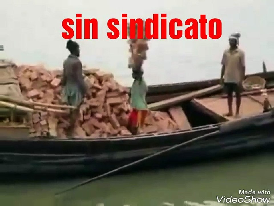 sin sindicado vs con sindicato
