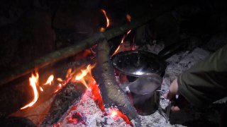 A Winter Night Out in the Forest