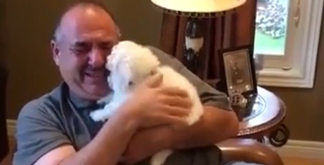 Mourning Father Falls To Pieces When His Daughter Brings Home A New Dog