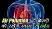 Air pollution से फेफड़ों को रखेंगे स्वस्थ, ये हर्ब्स | Herbs keep lungs healthy with air pollution