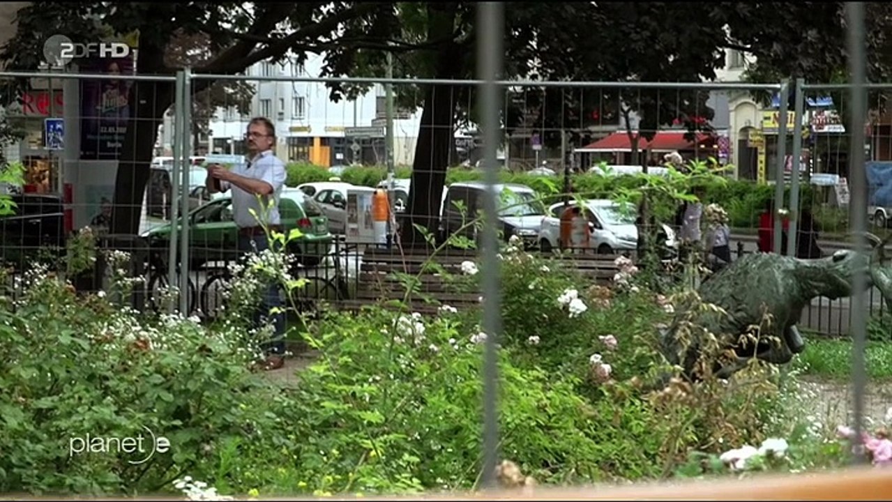 Ratten in der Stadt - Die Invasion der Nager