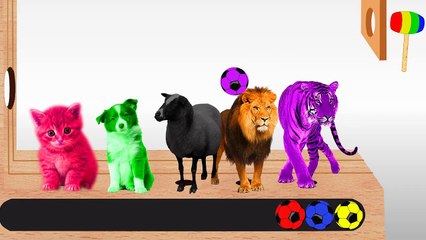 Learn colors with Ice Cream Soccer Balls for Children Kids Toddlers Educational video