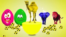 Learn Colours with Farm Animals Colors Surprise Eggs Wooden Hammer Fun video Farm Animals for Kids