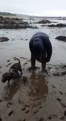 Cette femme est coincée dans la boue sur la plage !