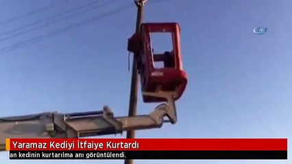 Yaramaz Kediyi İtfaiye Kurtardı