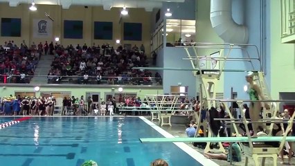 다이빙 대참사 모음 ㄷㄷㄷ