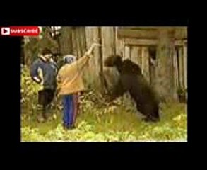 WHATSAPP FUNNY VIDEOS  funny videos  WHATSAPP COMEDY VIDEO  2016  funny CLIPS 2016