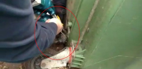 Talihsiz Yavru Kedi Böyle Kurtarıldı