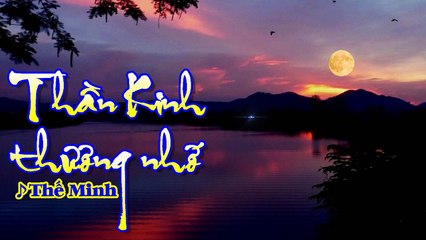 [Karaoke] THẦN KINH THƯƠNG NHỚ - Thế Minh (Giọng Nữ: Fm)