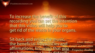 Liver, Kidneys, Lymph and Intestines Detox Frequency Healing - Organ Cleanse and Detox