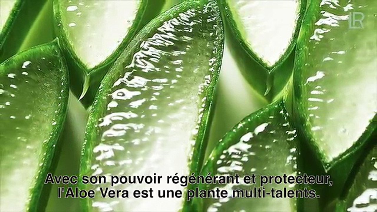 Gamme Aloe Via