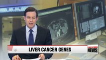 Korean researchers identify liver cancer genes