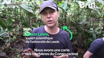 De grandes quantités de CO2 contenues dans les tourbières du bassin du Congo