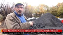 Meşe Ağaçlarının Mangal Kömürüne Dönüşen Zahmetli Hikayesi