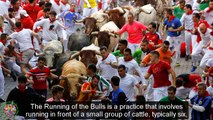 Top Tourist Attractions Places To Visit In Spain | Running of the Bulls Destination Spot - Tourism in Spain
