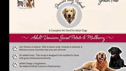 Best dog food for puppies