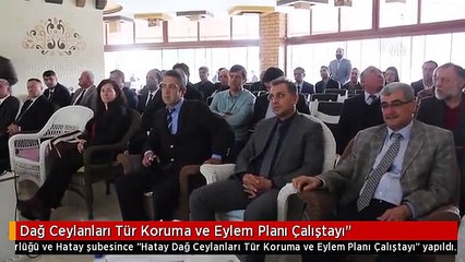Dağ Ceylanları Tür Koruma ve Eylem Planı Çalıştayı"