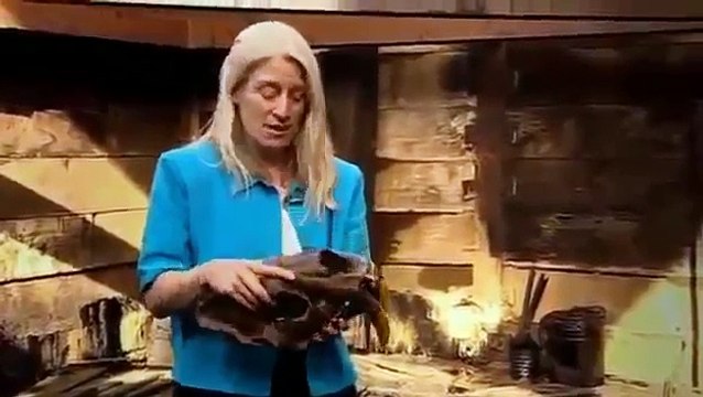 Extinction Smilodon, The Saber Toothed Tiger Nature & Animal Documentary