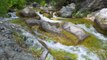 Clear Mountain Stream - Amazing Nature Scene and Nature Sounds