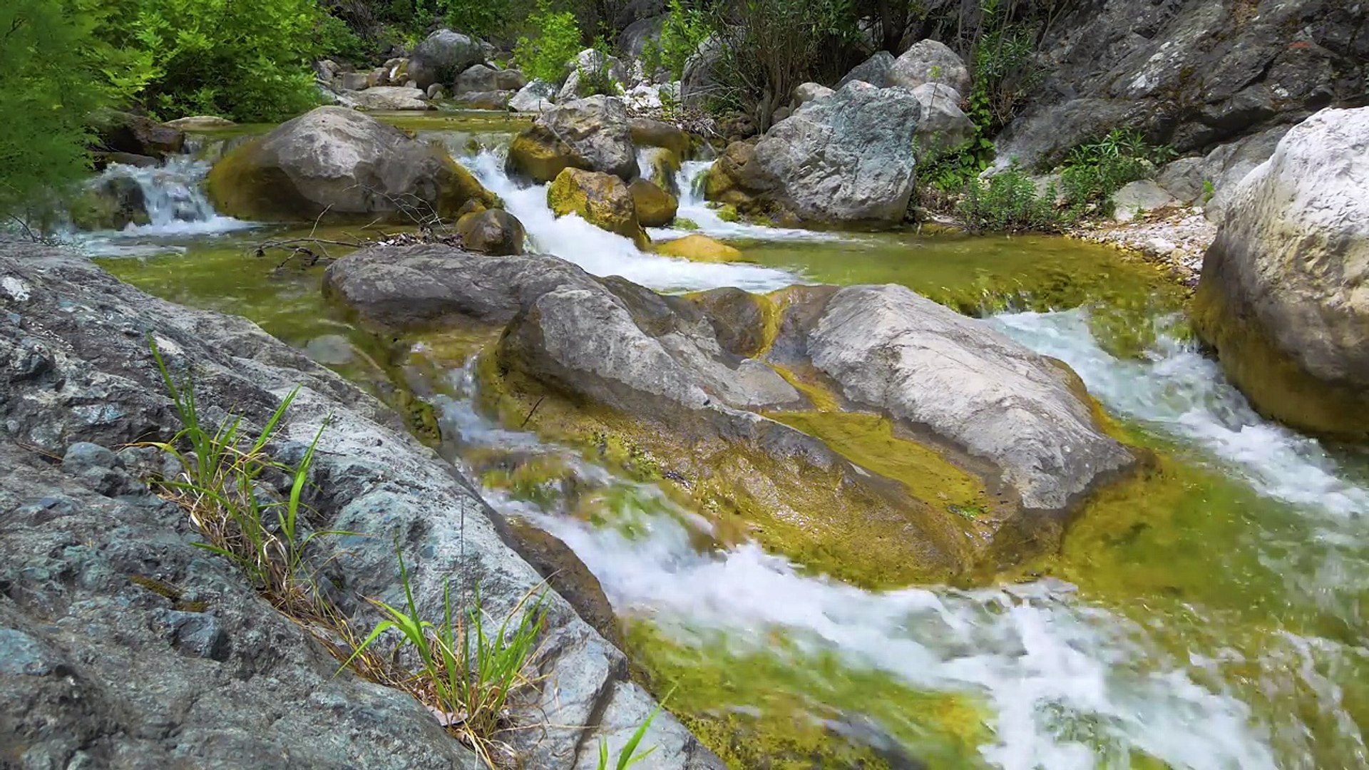 ⁣Clear Mountain Stream - Amazing Nature Scene and Nature Sounds