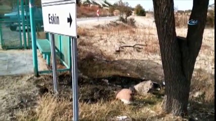 Isınmak İsterken Durağı Yaktılar