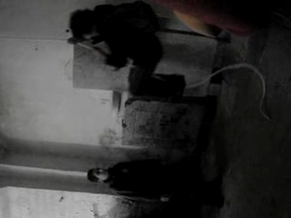 MOV02708