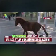 Haber yaparken haber olmak