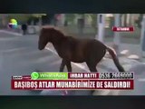 Haber yaparken haber olmak