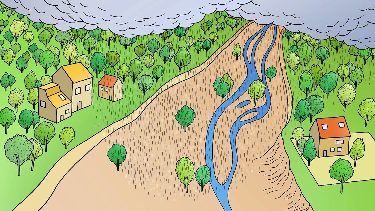 Des cours d'eau en pleine forme