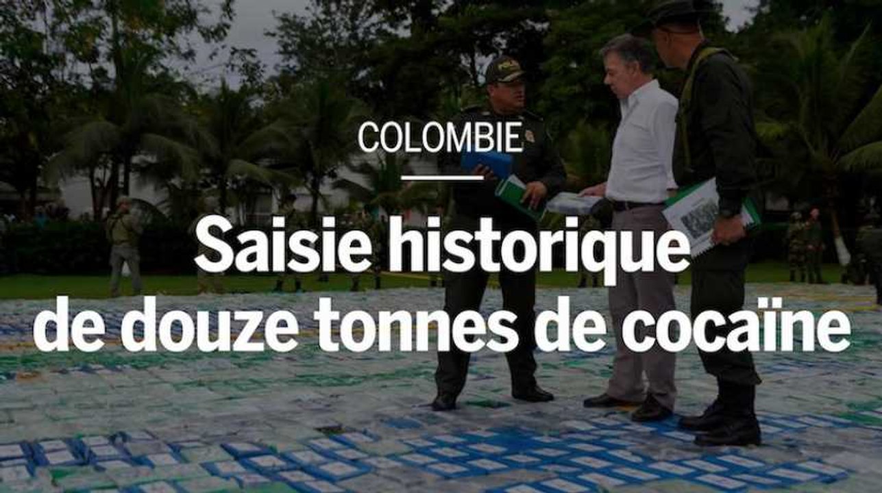 Colombie : saisie historique de douze tonnes de...