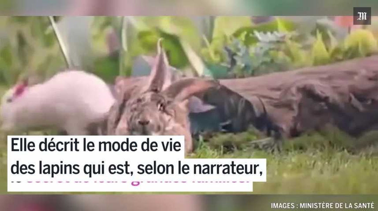 Pologne : le gouvernement encourage les citoyens à se multiplier comme des lapins