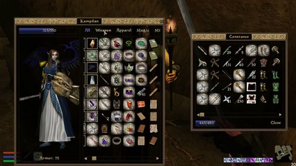 Danae plays Morrowind, episode 26: Vas