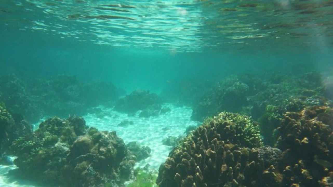 Awesome girl freestyle underwater - eps 4