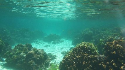 Awesome girl freestyle underwater - eps 4