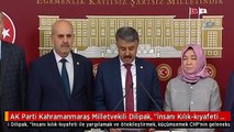 AK Parti Kahramanmaraş Milletvekili Dilipak, 
