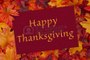 Basic Turkey Gravy _ Thanksgiving Recipes _Martha Stewart