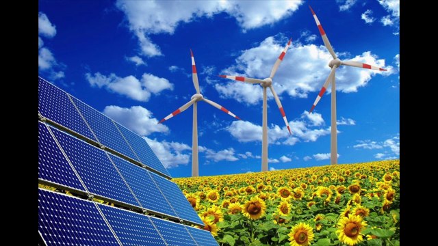 #SemaineLFM : les élèves de l'école française de Bonn et la COP 23