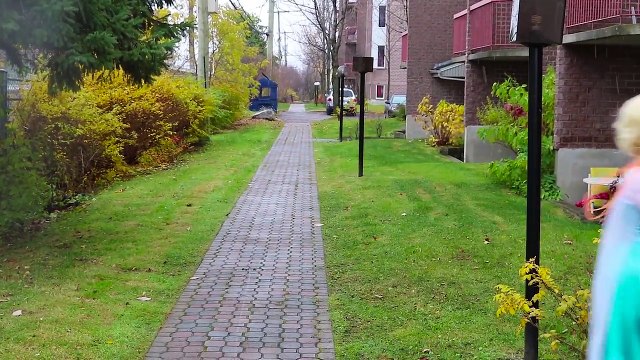 Frozen Elsa & Spiderman FINDS a DRAGON EGG! w_ Maleficent Joker Toys Fun Superhero in real life IRL | Superheroes | Spiderman | Superman | Frozen Elsa | Joker